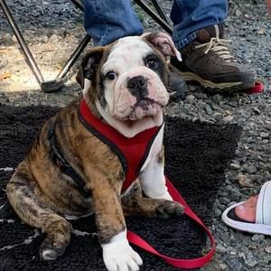 Meet your Posher, Donna